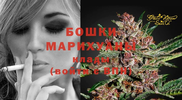 бошки Арсеньев